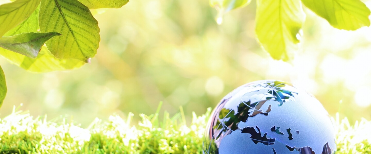 地球と人に優しいビーワンサロン イックス